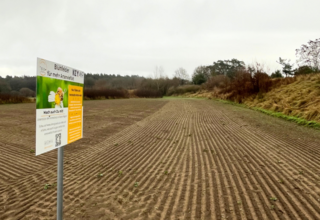Teaser-Wiesen-News-585x402