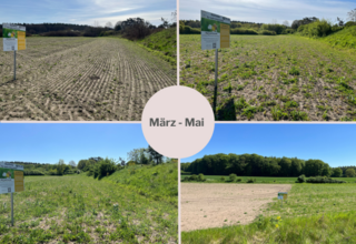 202405-Weisennews-Beitrag-3